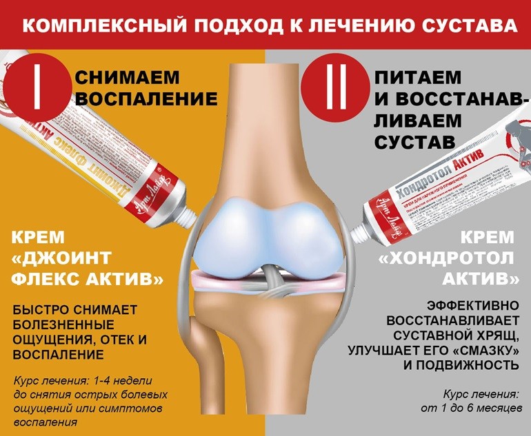 Хондротол Актив